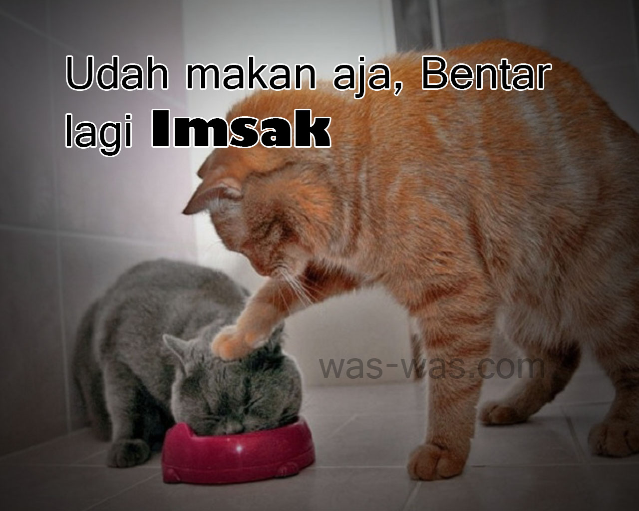 Kumpulan 68 Meme Lucu Sahur Ramadhan Terunik Kabel Wallpaper