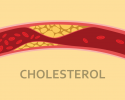 pengertian kolesterol