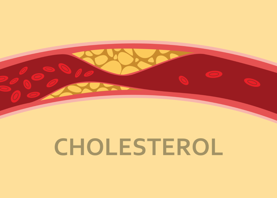 pengertian kolesterol