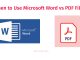 When to Use Microsoft Word vs PDF Files